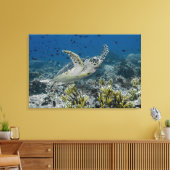 Hawksbill Sea Turtle Swimming Leinwanddruck (Insitu (Wohnzimmer))