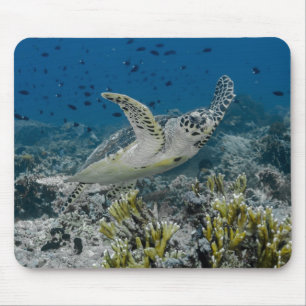 Hawksbill Sea Turtle Swimming Mousepad