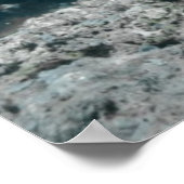 Hawksbill Sea Turtle Swimming Poster (Ecke)