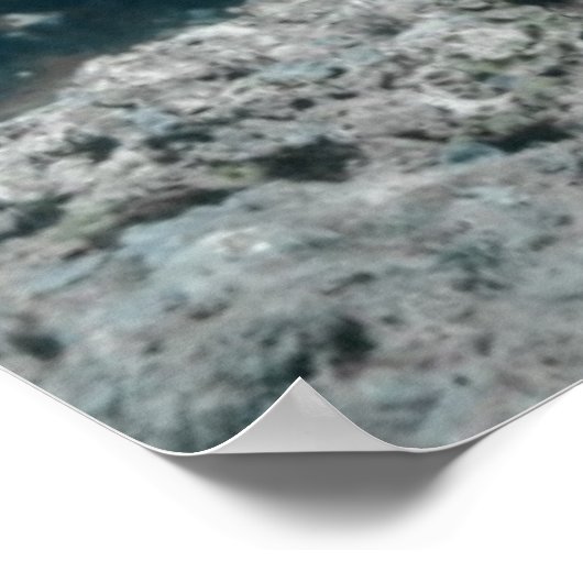 Hawksbill Sea Turtle Swimming Poster (Ecke)