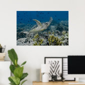 Hawksbill Sea Turtle Swimming Poster (Heimbüro)