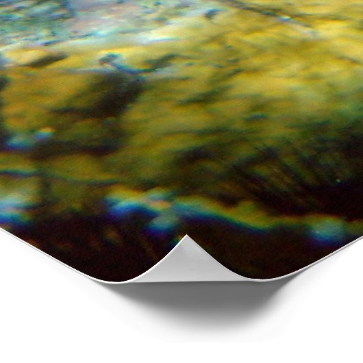 Hawksbill Sea Turtle, US-Jungfrau Islands Poster (Ecke)