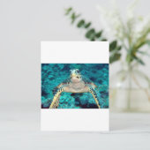Hawksbill Turtle Postkarte (Stehend Vorderseite)