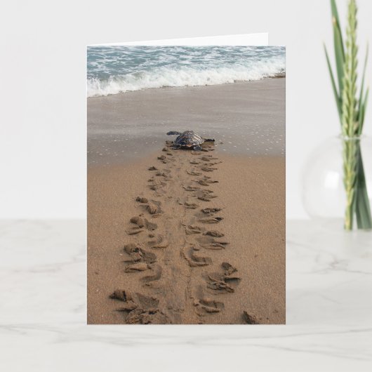 Hawksbill Turtle Trek Note card Karte (Vorderseite)