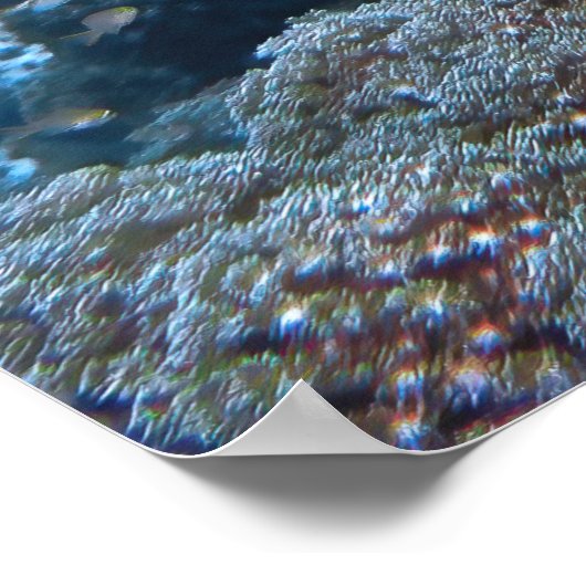 Hawksbill von Raja Ampat Poster (Ecke)