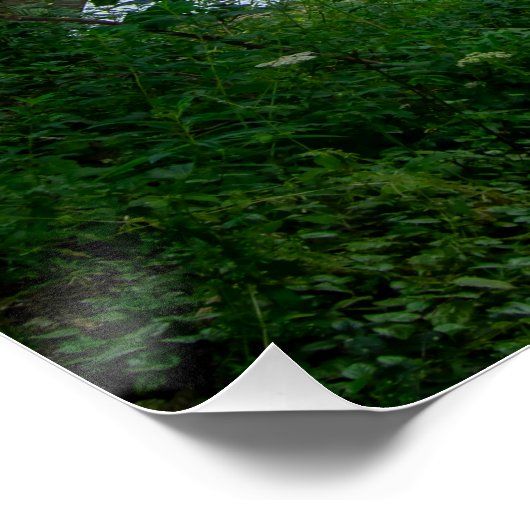 Hawksclough Bridge, Mytholmroyd Poster (Ecke)