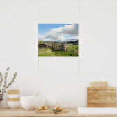 Hawkshead Cumbria England Card Poster (Küche)