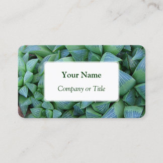 Haworthia Succulent Pflanze Business Cards Visitenkarte