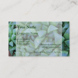 Haworthia Succulent Pflanze Business Cards Visitenkarte