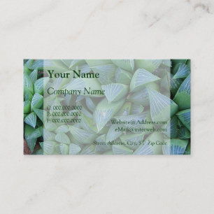 Haworthia Succulent Pflanze Business Cards Visitenkarte