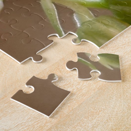 Haworth's Aeonium Flowers Close-Up Photograph Puzzle (Seite)