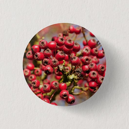 Hawthorn Berries Abzeichen Button (Vorderseite)