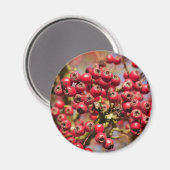 Hawthorn Berries Magnet (Vorderseite/Rückseite)