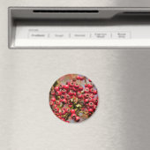 Hawthorn Berries Magnet (In Situ (Geschirrspüler))