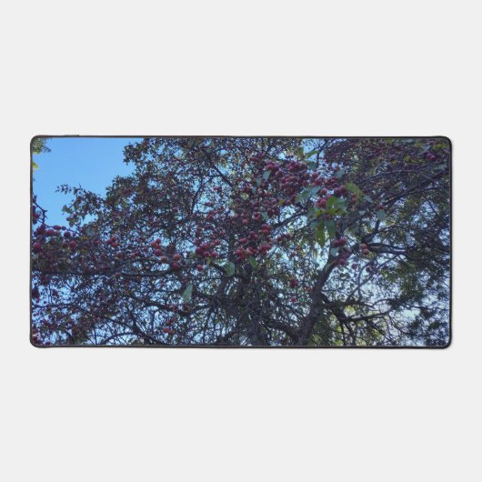 Hawthorn Berries Schreibtischunterlage (Vorderseite)