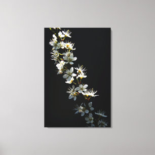 Hawthorn-Blume 24x36 (60x90cm) waccn Leinwanddruck