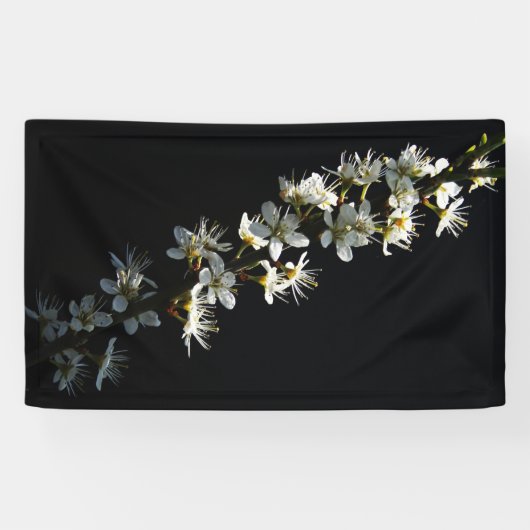 Hawthorn-Blume Banner (Horizontal)
