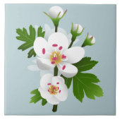 Hawthorn-Blume Fliese (Vorderseite)