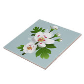 Hawthorn-Blume Fliese (Seite)
