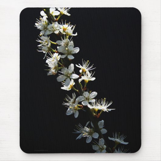 Hawthorn-Blume mpcnm Mousepad (Vorne)