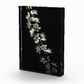 Hawthorn-Blume pbcnm Fotoblock (Rechts)