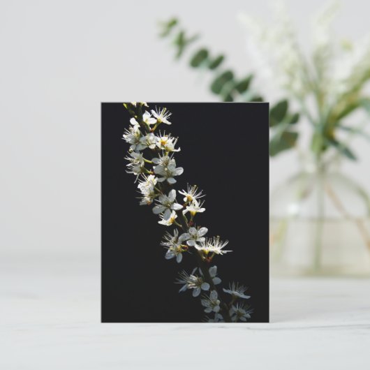 Hawthorn-Blume Postkarte (Stehend Vorderseite)