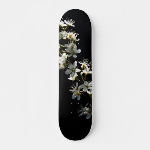 Hawthorn Blume sdcna Skateboard