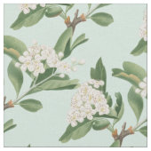 Hawthorn-Blume Stoff (Nahaufnahme)