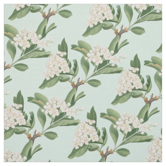 Hawthorn-Blume Stoff (Muster)