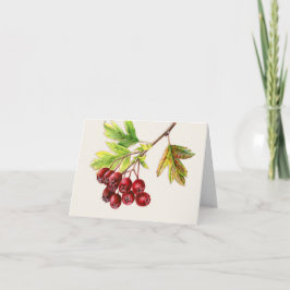 Hawthorn frucht feine Kunst fallen jeden Tag Karte