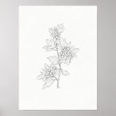 Hawthorn Sketch Art Print Poster (Vorne)