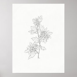 Hawthorn Sketch Art Print Poster