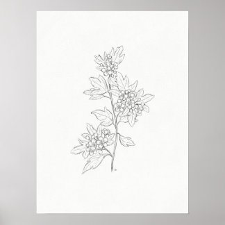 Hawthorn Sketch Art Print Poster