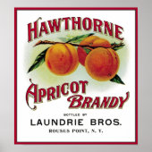 Hawthorne Apricot Brandy Poster (Vorne)