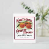 Hawthorne Apricot Brandy Postkarte (Stehend Vorderseite)