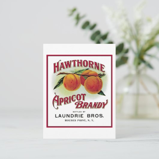 Hawthorne Apricot Brandy Postkarte (Stehend Vorderseite)