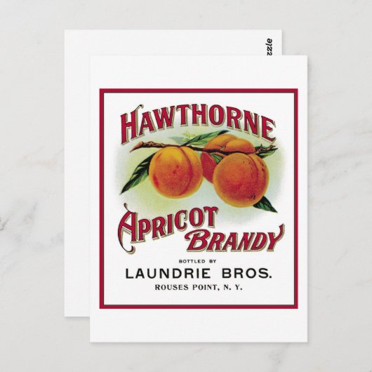 Hawthorne Apricot Brandy Postkarte (Vorne/Hinten)