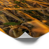 Hay bale poster (Ecke)