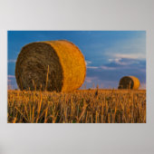Hay bale poster (Vorne)