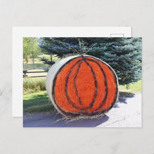 HAY BALE PUMPKIN POSTKARTE (Vorne/Hinten)