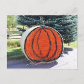 HAY BALE PUMPKIN POSTKARTE (Vorderseite)