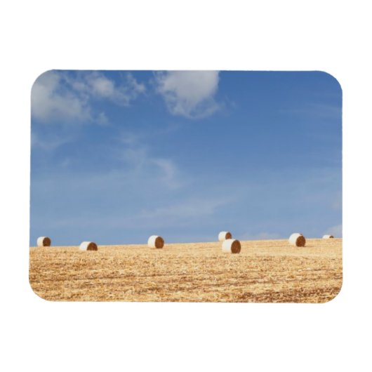 Hay Bales auf dem Feld Magnet (Horizontal)