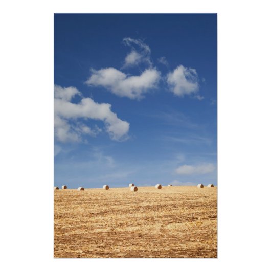 Hay Bales auf dem Feld Poster (Vorderseite)