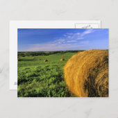 Hay Bales bei Bottineau North Dakota Postkarte (Vorne/Hinten)