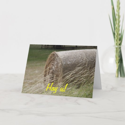 Hay bales, Hay u! Karte (Vorderseite)