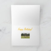 Hay Bales Karte (Innenseite)