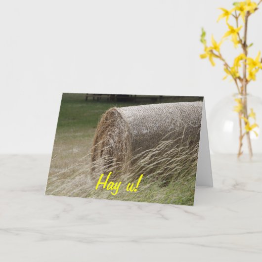 Hay Bales Karte (Gelbe Blume)
