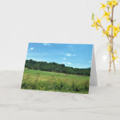 Hay Bales, Wytheville, Virginia Karte (Gelbe Blume)