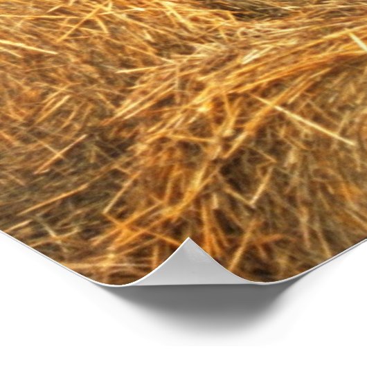 Hay Balls Poster (Ecke)