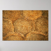 Hay Balls Poster (Vorne)